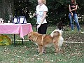 img 161